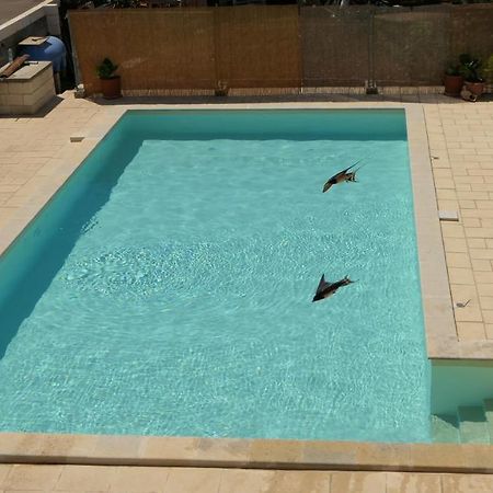Coppola Bed And Breakfast Diso Bagian luar foto